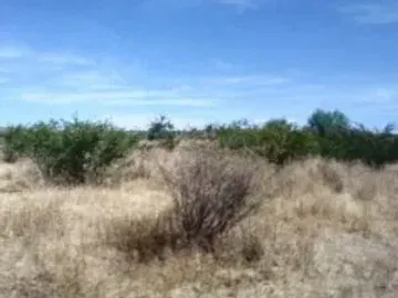 RENTA DE TERRENO EN JUVENTINO ROSAS CON UNA SUPERFICIE DE: 500 HECTAREAS