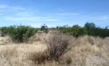 RENTA DE TERRENO EN JUVENTINO ROSAS CON UNA SUPERFICIE DE: 500 HECTAREAS