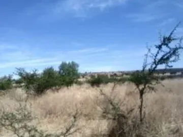 RENTA DE TERRENO EN JUVENTINO ROSAS CON UNA SUPERFICIE DE: 500 HECTAREAS