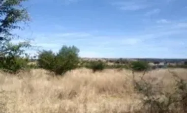 RENTA DE TERRENO EN JUVENTINO ROSAS CON UNA SUPERFICIE DE: 500 HECTAREAS