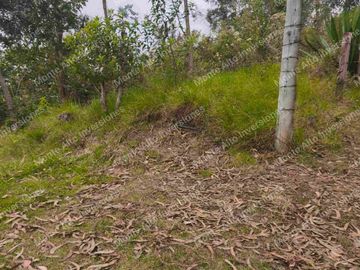 ✨ Paraíso Natural con Cascada junto al Parque Chicaque – Ideal para Glamping y Turismo Ecológico