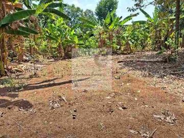 Tanah Tembalang Bulusan Undip