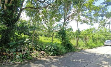 3,600 sqm Lot with 100 meters FRONTAGE at Bgy. Kaysuyo, Alfonso Cavite for SALE! TITLED at P 7,500 per sqm