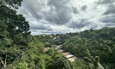 Maria Luisa Subd 5BR 750sqm Pool 8-car Maids Banilad