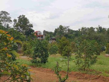 Tanah mojogedang kebun durian dan alpukat 6900m harg 400rb/m