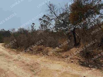 EXCELENTE UBICACIÓN DE TERRENO IDEAL PARA CONSTRUIR O SEMBRAR VILLA GUERRERO EDOMEX