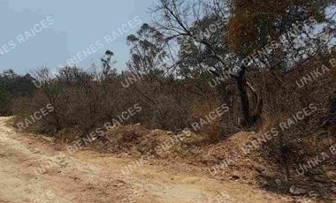 EXCELENTE UBICACIÓN DE TERRENO IDEAL PARA CONSTRUIR O SEMBRAR VILLA GUERRERO EDOMEX