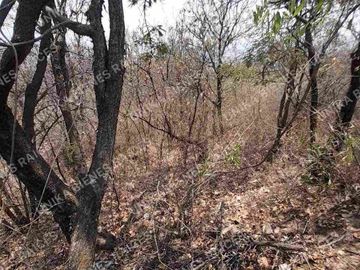EXCELENTE UBICACIÓN DE TERRENO IDEAL PARA CONSTRUIR O SEMBRAR VILLA GUERRERO EDOMEX