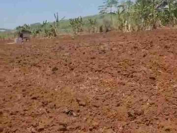 DIJUAL TANAH 16 HA ZONA KUNING MIJEN SEMARANG