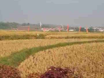 DIJUAL TANAH 16 HA ZONA KUNING MIJEN SEMARANG