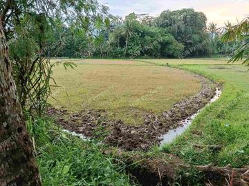 Jual Cepat Tanah Kosong