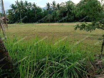 Jual Cepat Tanah Kosong