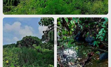 Lot in Arayat Pampanga