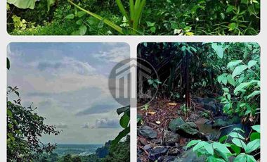 Lot in Arayat Pampanga