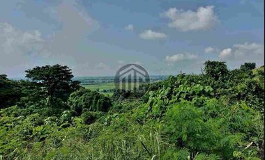 Lot in Arayat Pampanga
