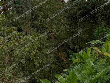 ✨Un Diamante Turístico con Proyección Internacional 5000m zona turismo Santandercito Cundinamarca Colombia 🇨🇴