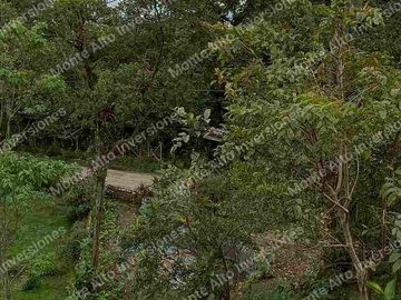 ✨Un Diamante Turístico con Proyección Internacional 5000m zona turismo Santandercito Cundinamarca Colombia 🇨🇴