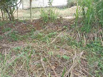 terreno  en venta