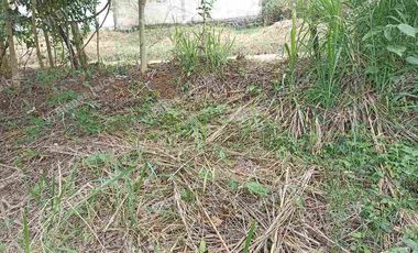 terreno  en venta