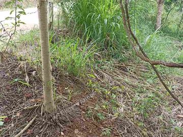 terreno  en venta