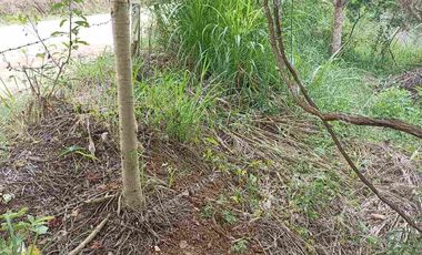 terreno  en venta