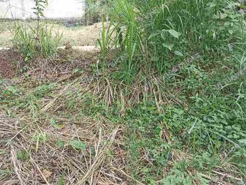 terreno  en venta