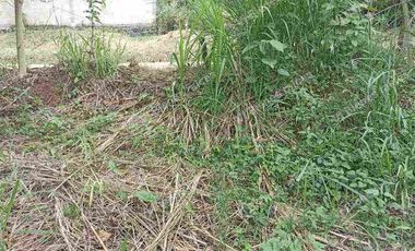 terreno  en venta