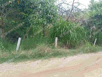 terreno  en venta