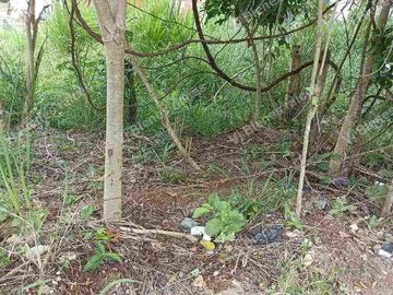 terreno  en venta