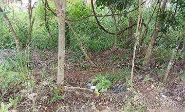 terreno  en venta