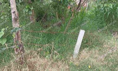 terreno  en venta