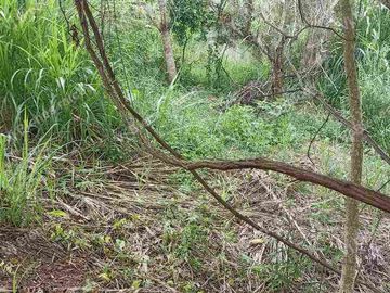 terreno  en venta
