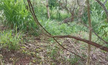 terreno  en venta