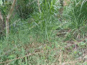 terreno  en venta