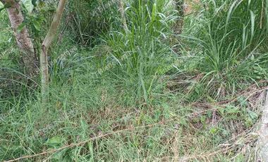 terreno  en venta