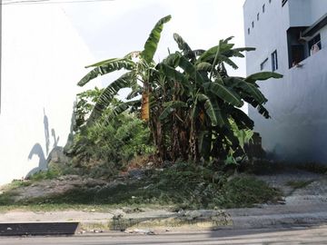 151 SQM. LOT FOR SALE / P20K PER SQM. IN GREENLAND EXECUTIVE VILLAGE, CAINTA RIZAL