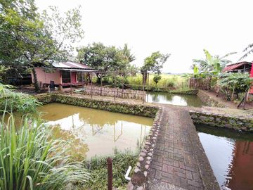 Rumah megah bonus tanah kosong Purbalingga.
