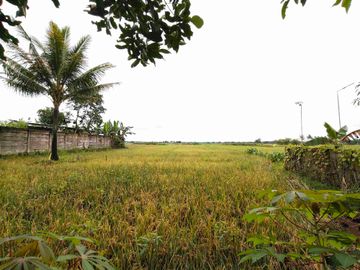 Rumah megah bonus tanah kosong Purbalingga.