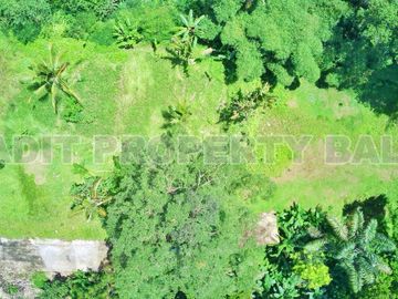 Tanah View Jungle & Sungai Payangan Ubud Gianyar Bali