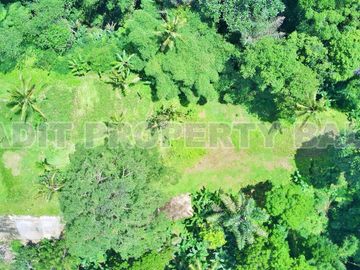 Tanah View Jungle & Sungai Payangan Ubud Gianyar Bali