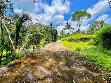 Tanah View Jungle & Sungai Payangan Ubud Gianyar Bali