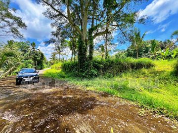 Tanah View Jungle & Sungai Payangan Ubud Gianyar Bali