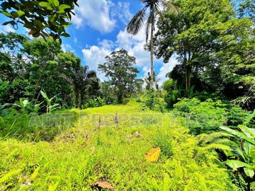 Tanah View Jungle & Sungai Payangan Ubud Gianyar Bali