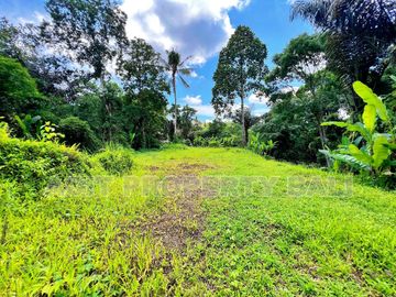 Tanah View Jungle & Sungai Payangan Ubud Gianyar Bali
