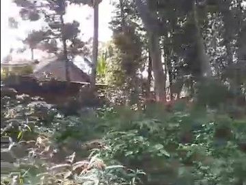 3000 M2 Tanah Kebun Datar Pinggir Jalan Desa Tenjolaut, Cikalong Wetan, Bandung Barat