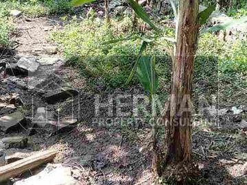 Tanah Tembalang Bulusan Utara Undip