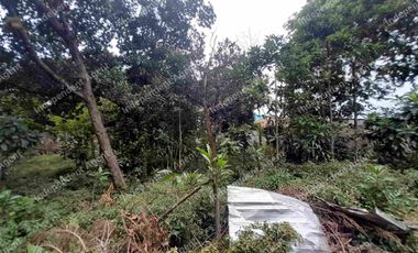 Tanah Darat Tepi Jalan Raya di Jagakarsa Jakarta Selatan