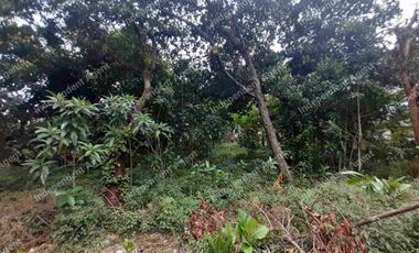 Tanah Darat Tepi Jalan Raya di Jagakarsa Jakarta Selatan