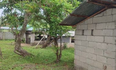 House and Lot for Sale in Sappang Putik San ldefonso Bulacan
