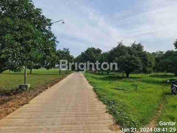 Tanah Luas Di Gantar Indramayu